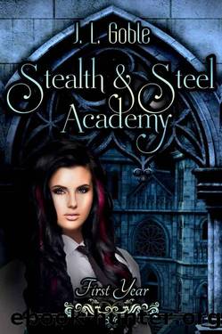 Stealth & Steel Academy: First Year by J.L. Goble