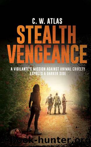 Stealth Vengeance by Atlas C W