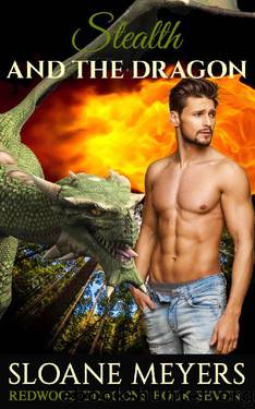 Stealth and the Dragon (Redwood Dragons Book 7) by Sloane Meyers