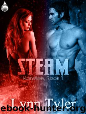 Steam by Lynn Tyler