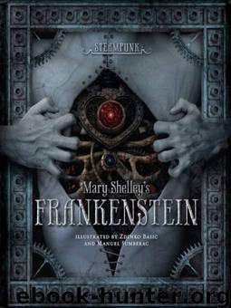 Steampunk Mary Shelley's Frankenstein by Zdenko Basic & Manuel Sumberac