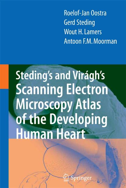 Steding's and Viragh's Scanning EM Atlas of the Developing Human Heart by R. Jan Oostra et al. (Springer 2007) WW