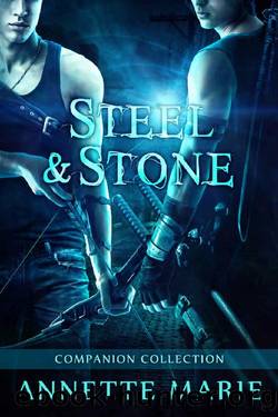 Steel & Stone Companion Collection (Steel & Stone Book 6) by Annette Marie