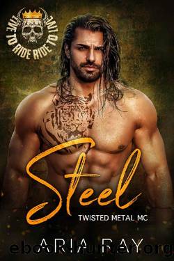 Steel (Twisted Metal MC Book 1) by Aria Ray