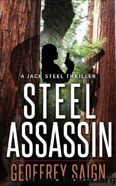 Steel Assassin by Geoffrey Saign