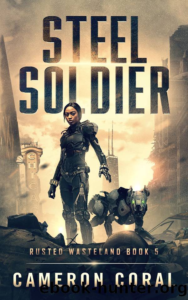 Steel Soldier by Cameron Coral