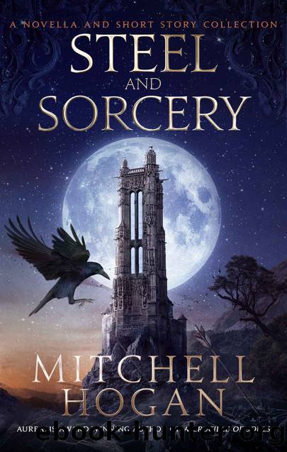 Steel and Sorcery by Mitchell Hogan