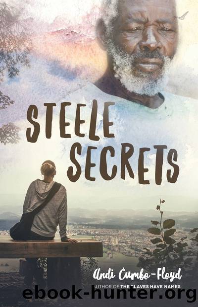 Steele Secrets by Andi Cumbo-Floyd