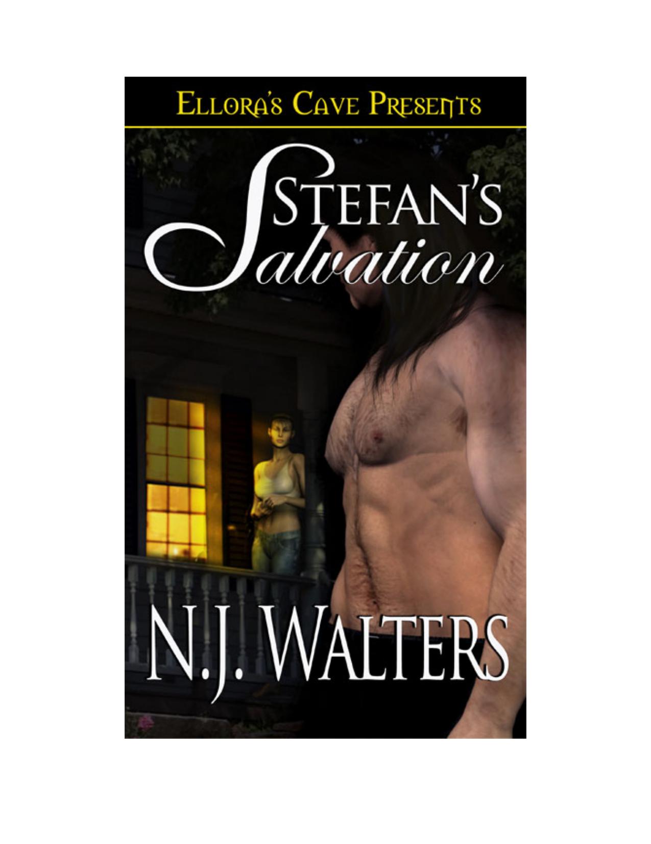 Stefan's Salvation by N.J. Walters