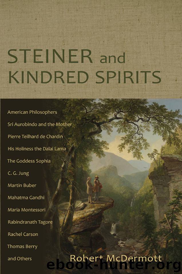 Steiner and Kindred Spirits by McDermott Robert