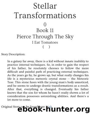 Stellar Transformations - Book 11 - Pierce Through The Sky by I Eat Tomatoes