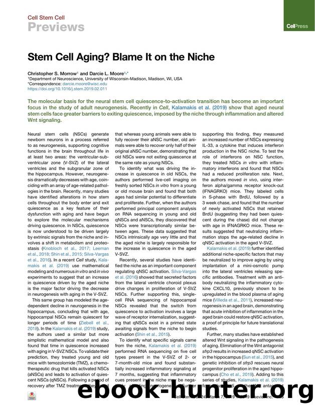Stem Cell Aging? Blame It on the Niche by Christopher S. Morrow & Darcie L. Moore