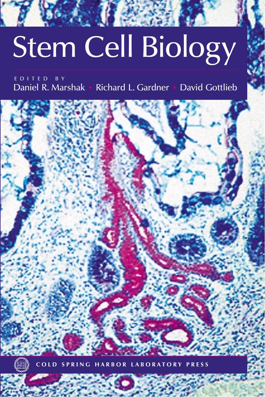 Stem Cell Biology (Cold Spring Harbor Monograph Series, 40) by Daniel R. Marshak (Editor) Richard L. Gardner (Editor) David Gottlieb (Editor)