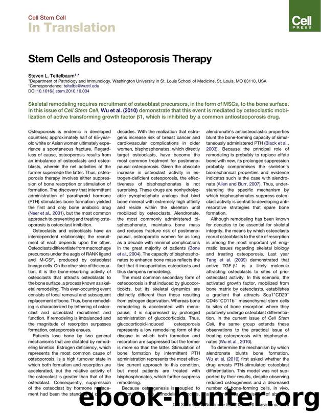 Stem Cells and Osteoporosis Therapy by Steven L. Teitelbaum