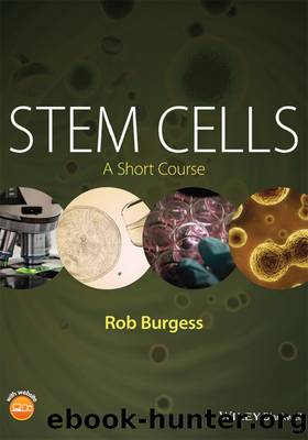 Stem Cells by Burgess Rob;