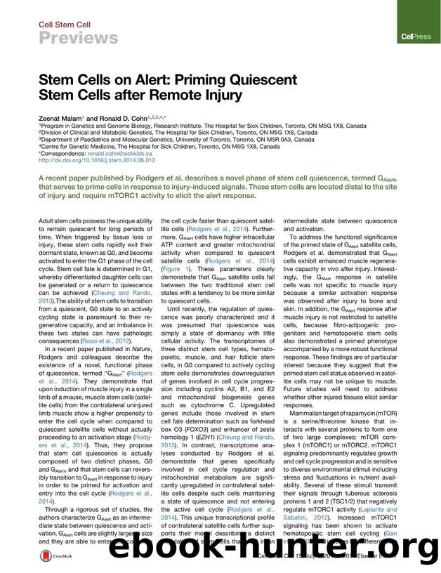 Stem Cells on Alert: Priming Quiescent Stem Cells after Remote Injury by Zeenat Malam & Ronald D. Cohn
