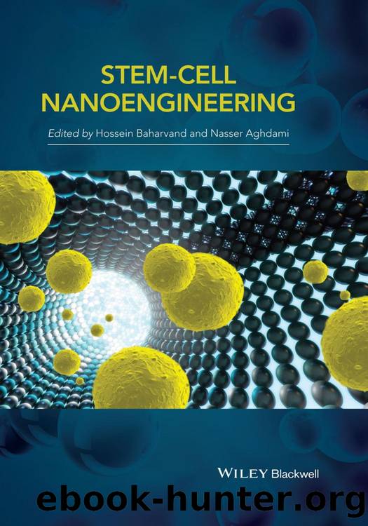 Stem-Cell Nanoengineering by H. Baharvand