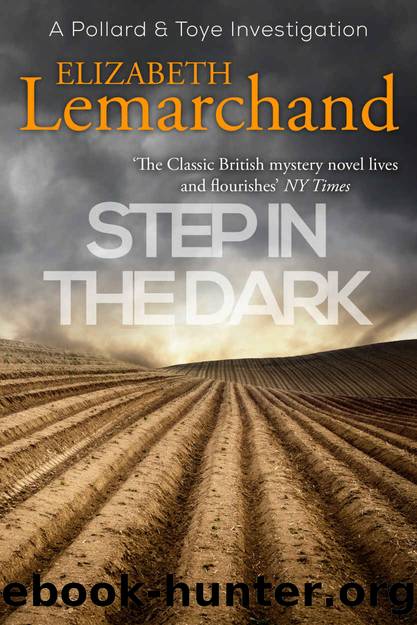 Step in the Dark (Pollard & Toye Investigations Book 8) by Elizabeth Lemarchand