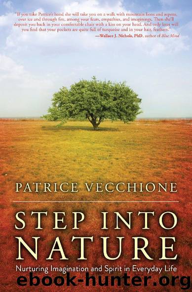 Step into Nature by Patrice Vecchione