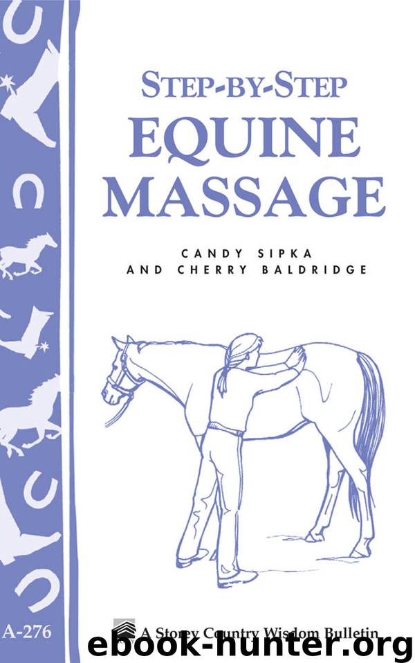Step-by-Step Equine Massage