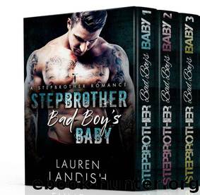 Stepbrother Bad Boy's Baby Boxed Set