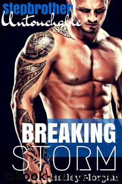 Stepbrother Untouchable – Breaking Storm by Hailey Morgan