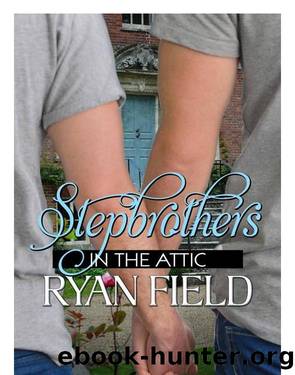 Stepbrothers in the Attic by Ryan Field
