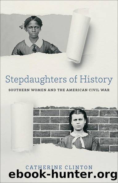Stepdaughters of History by Catherine Clinton