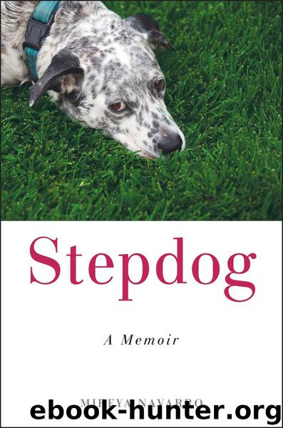 Stepdog by Mireya Navarro