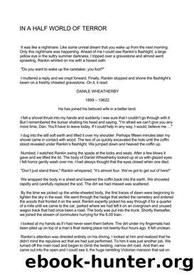 Stephen King by In a Half-World of Terror