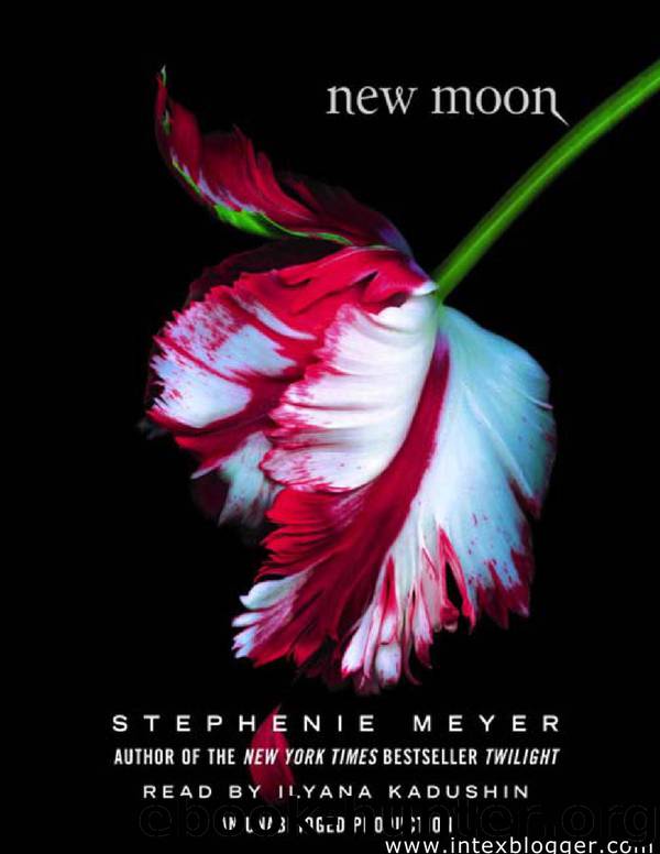 Stephenie Meyer - Twilight 02 by New Moon