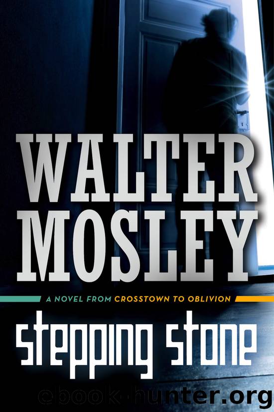 Stepping Stone by Walter Mosley