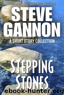 Stepping Stones by Steve Gannon