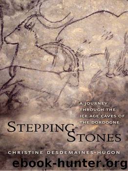 Stepping-Stones by Christine Desdemaines-Hugon