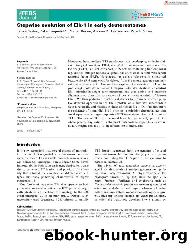 Stepwise evolution of Elkâ1 in early deuterostomes by Unknown