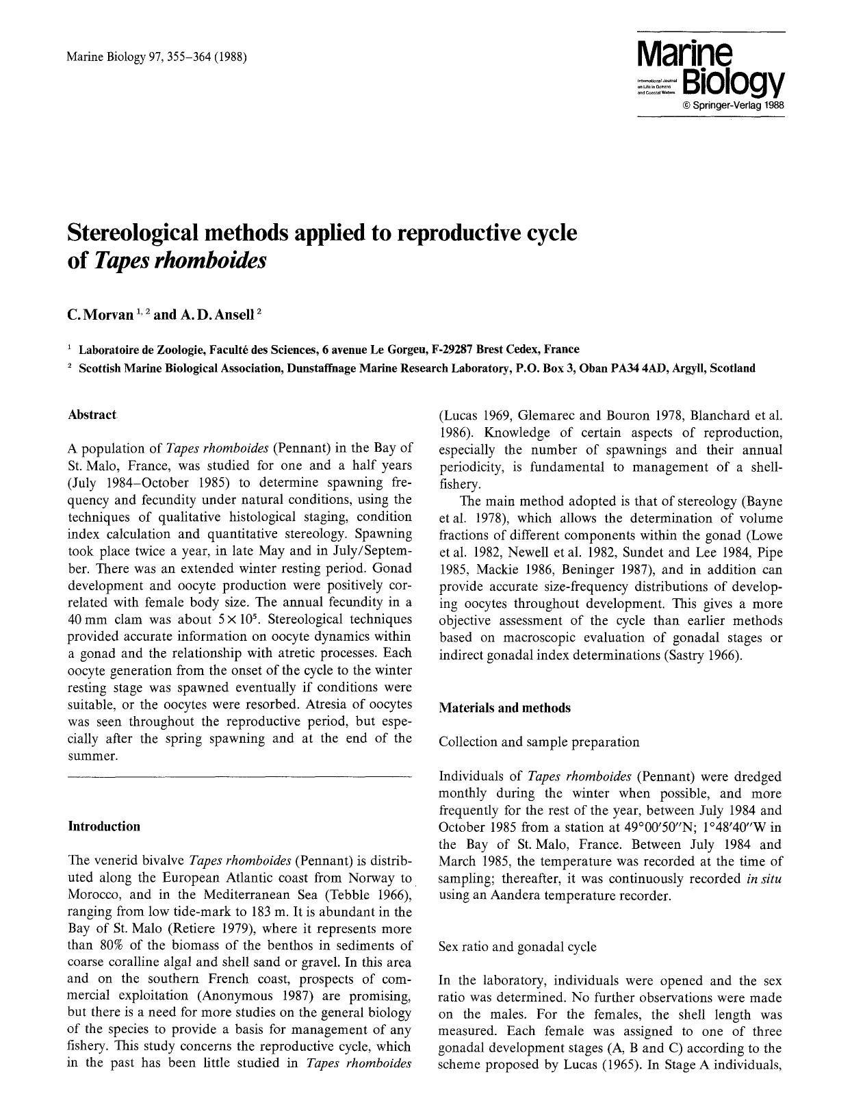 Stereological methods applied to reproductive cycle of <Emphasis Type="Italic">Tapes rhomboides<Emphasis> by Unknown