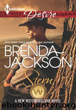 Stern by Brenda Jackson