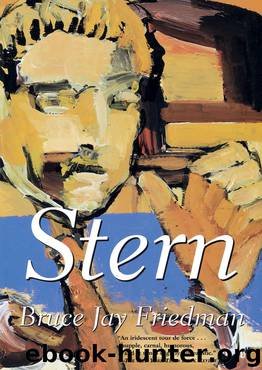 Stern by Bruce Jay Friedman