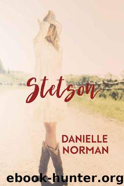 Stetson (Iron Horse Book 1) by Danielle Norman