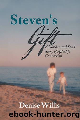 Steven's Gift by Denise Willis