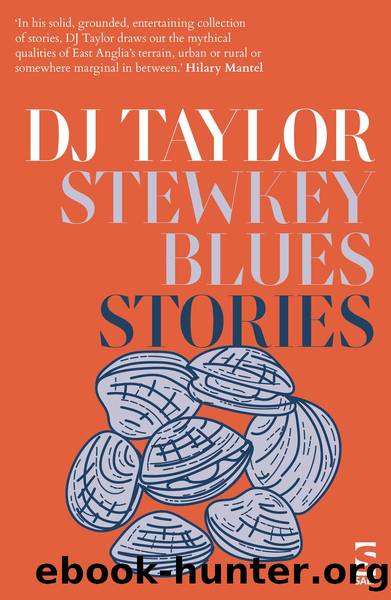 Stewkey Blues by D. J. Taylor