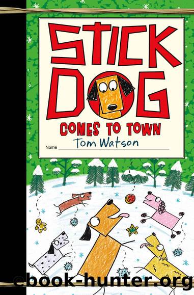 Stick Dog Comes to Town by Watson Tom