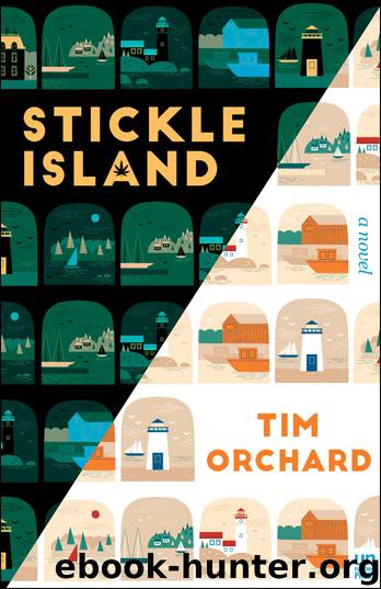 Stickle Island by Tim Orchard