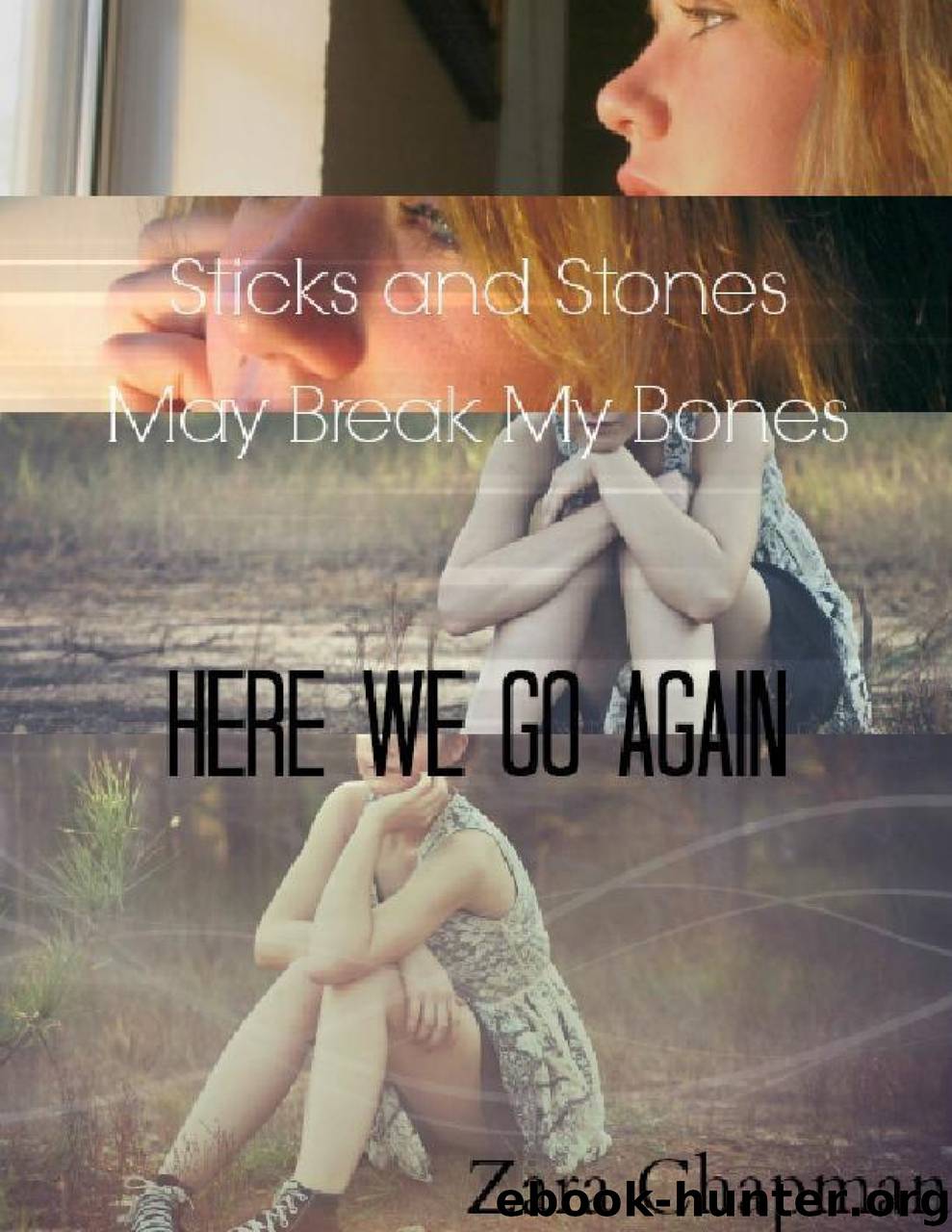 Sticks and Stones May Break My Bones - Here We Go Again by Zara Chapman