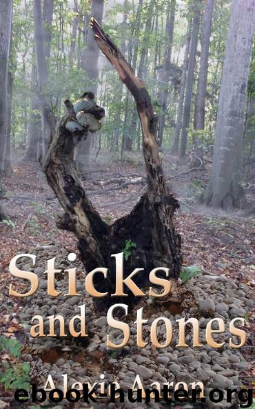 Sticks and Stones by Alexie Aaron