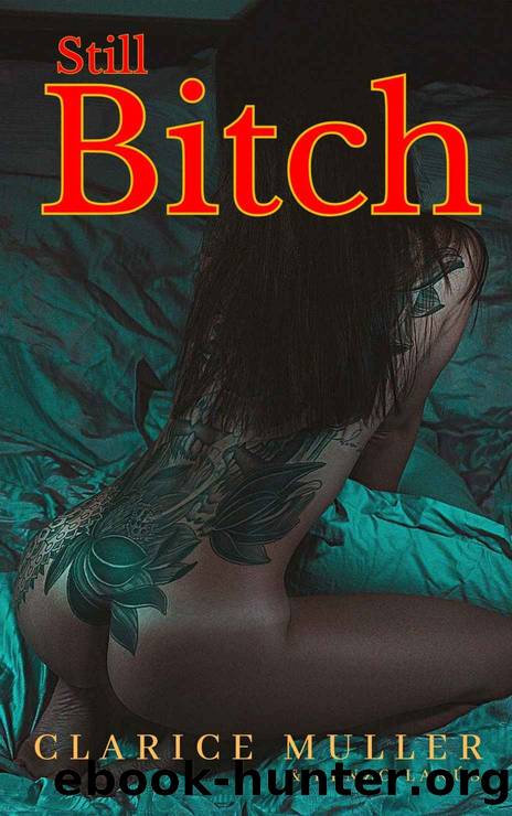 Still Bitch: Erotic Romance Novel with High Levels of Explicit Sexual Content (Burning Secrets Book 10) by Muller Clarice & Lanús Renzo