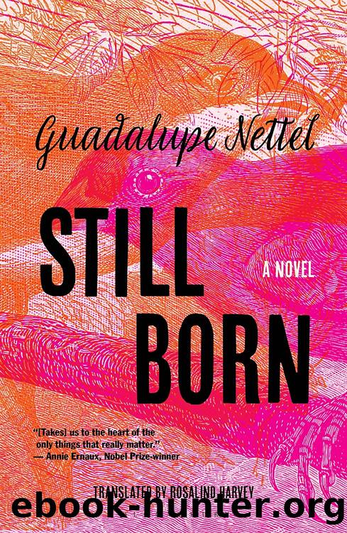 Still Born by Guadalupe Nettel Rosalind Harvey