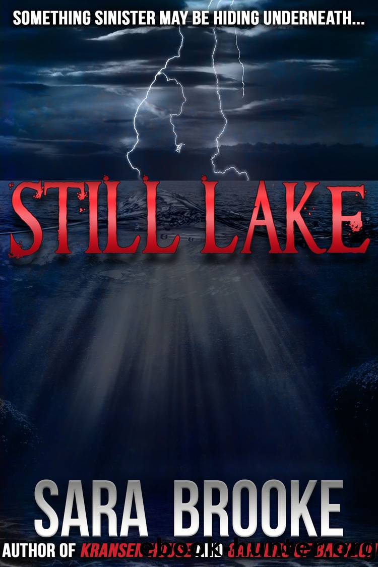 Still Lake by Sara Brooke