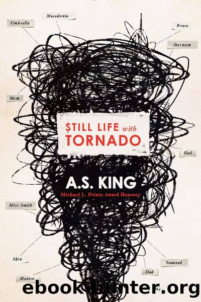 Still Life With Tornado by King A. S