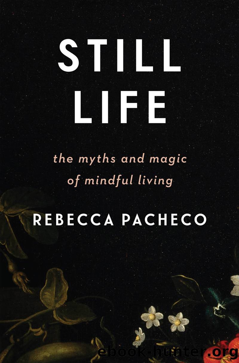 Still Life by Rebecca Pacheco